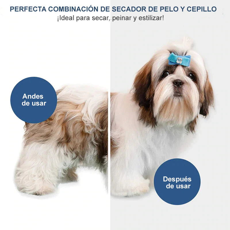 Secador de Pelo para Mascotas 2 en 1 – Cepillo y Secador Portáti